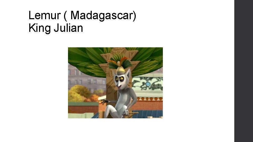 Lemur ( Madagascar) King Julian 