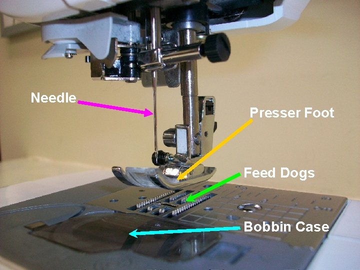Needle Presser Foot Feed Dogs Bobbin Case 