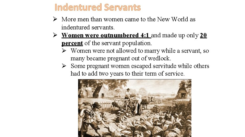Indentured Servants Ø More men than women came to the New World as indentured