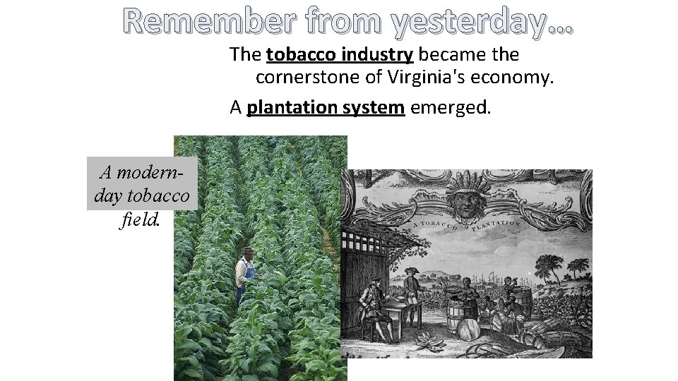 Remember from yesterday… The tobacco industry became the cornerstone of Virginia's economy. A plantation