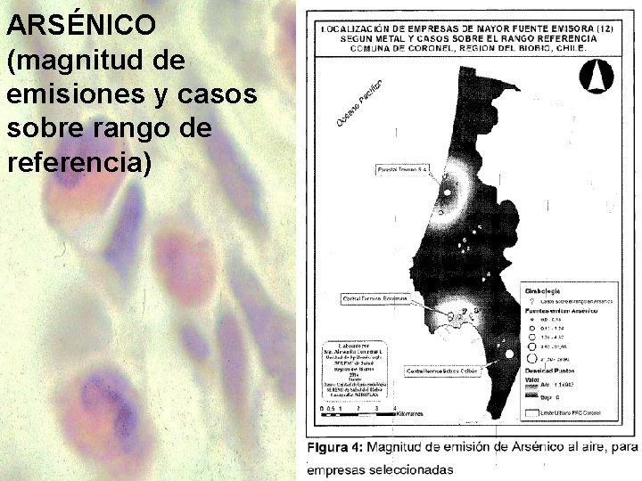 ARSÉNICO (magnitud de emisiones y casos sobre rango de referencia) 