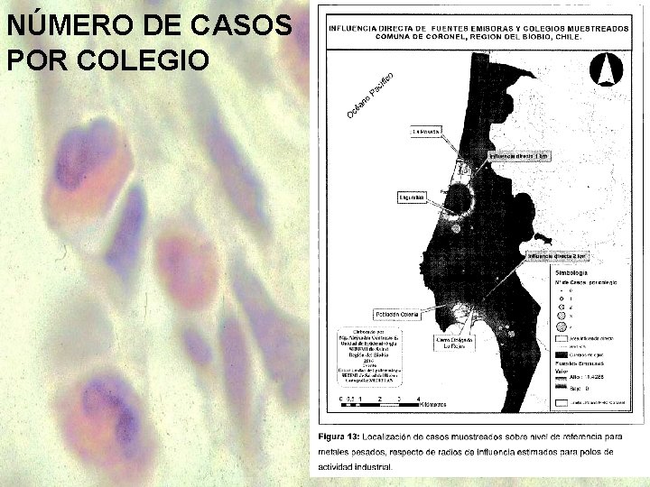 NÚMERO DE CASOS POR COLEGIO 
