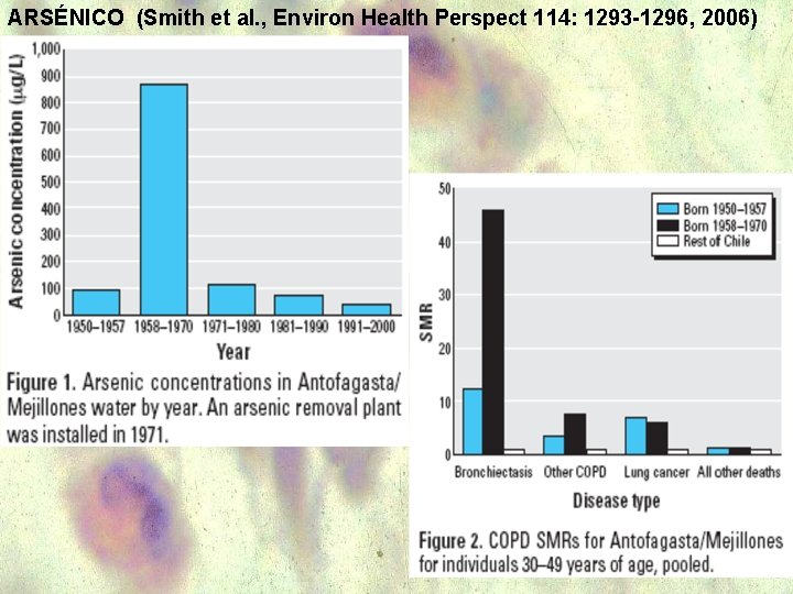 ARSÉNICO (Smith et al. , Environ Health Perspect 114: 1293 -1296, 2006) 