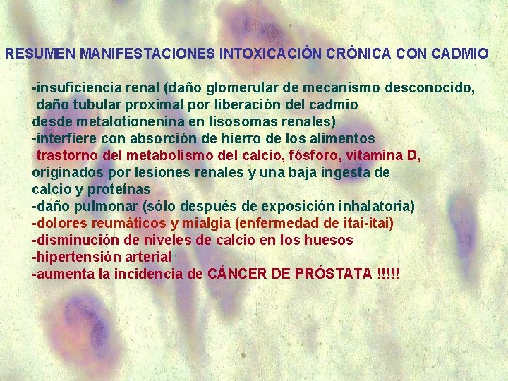 RESUMEN MANIFESTACIONES INTOXICACIÓN CRÓNICA CON CADMIO -insuficiencia renal (daño glomerular de mecanismo desconocido, daño