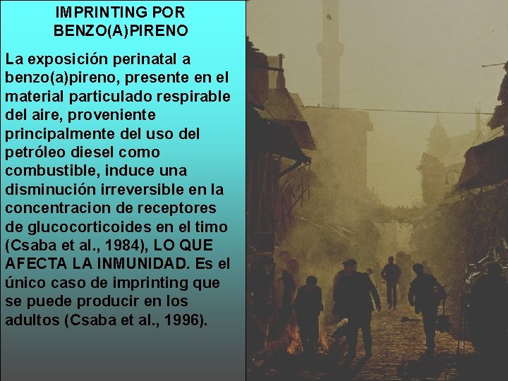 IMPRINTING POR BENZO(A)PIRENO La exposición perinatal a benzo(a)pireno, presente en el material particulado respirable