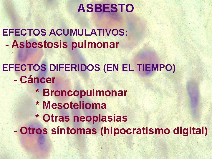 ASBESTO EFECTOS ACUMULATIVOS: - Asbestosis pulmonar EFECTOS DIFERIDOS (EN EL TIEMPO) - Cáncer *