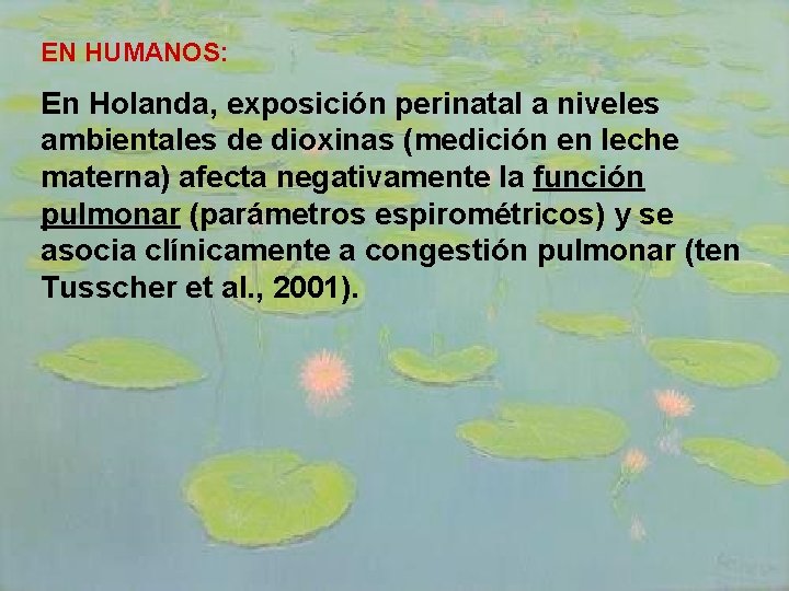 EN HUMANOS: En Holanda, exposición perinatal a niveles ambientales de dioxinas (medición en leche