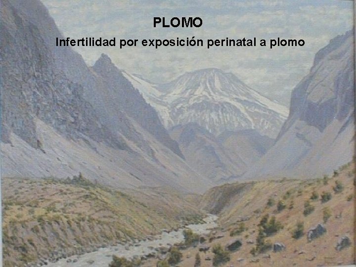 PLOMO Infertilidad por exposición perinatal a plomo 