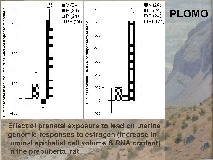 PLOMO Effect of prenatal exposure to lead on uterine genomic responses to estrogen (increase