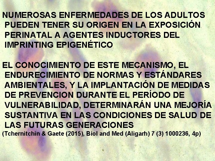 NUMEROSAS ENFERMEDADES DE LOS ADULTOS PUEDEN TENER SU ORIGEN EN LA EXPOSICIÓN PERINATAL A