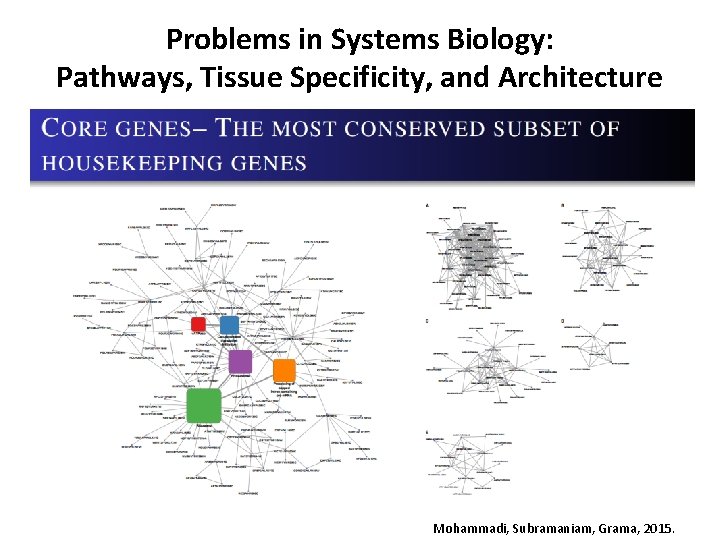 Problems in Systems Biology: Pathways, Tissue Specificity, and Architecture Mohammadi, Subramaniam, Grama, 2015. Problems in Systems Biology: Pathways, Tissue Specificity, and Architecture Mohammadi, Subramaniam, Grama, 2015.