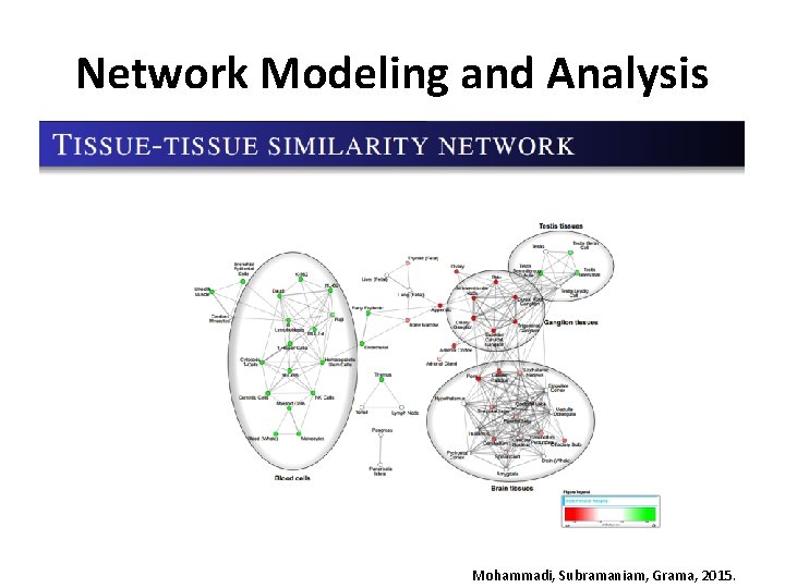 Network Modeling and Analysis Mohammadi, Subramaniam, Grama, 2015. Network Modeling and Analysis Mohammadi, Subramaniam, Grama, 2015.