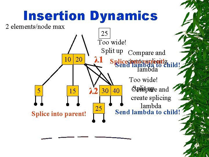 Insertion Dynamics 2 elements/node max 10 20 25 Too wide! Split up Compare and