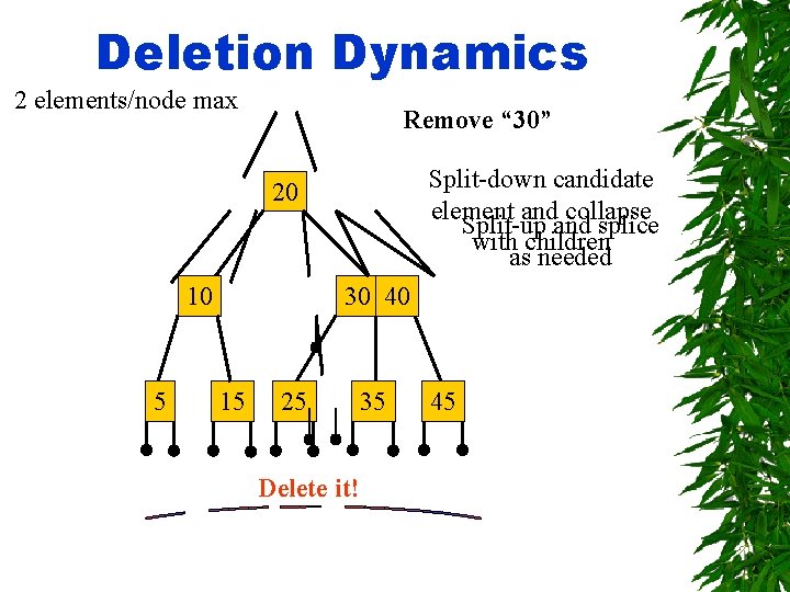 Deletion Dynamics 2 elements/node max Remove “ 30” Split-down candidate element and collapse Split-up