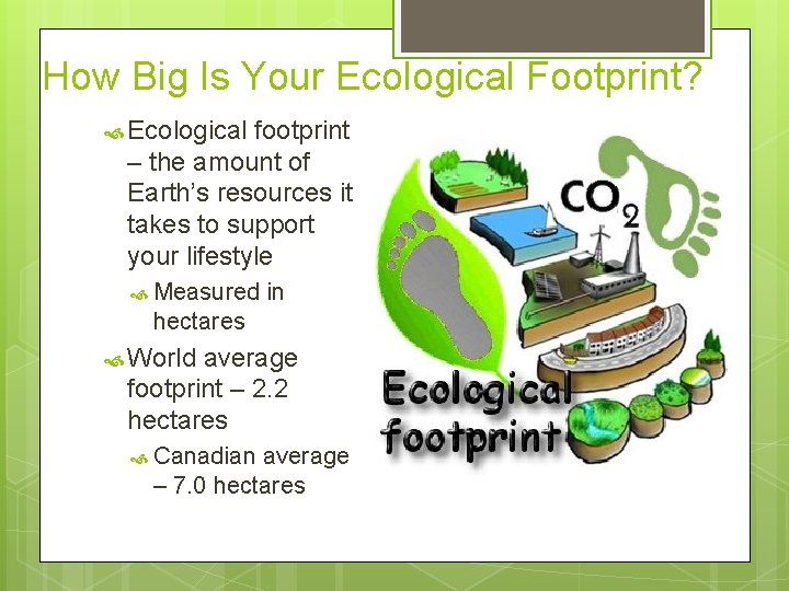 How Big Is Your Ecological Footprint? Ecological footprint – the amount of Earth’s resources