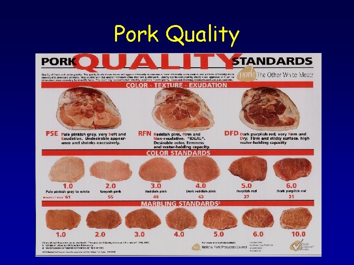 Pork Quality 