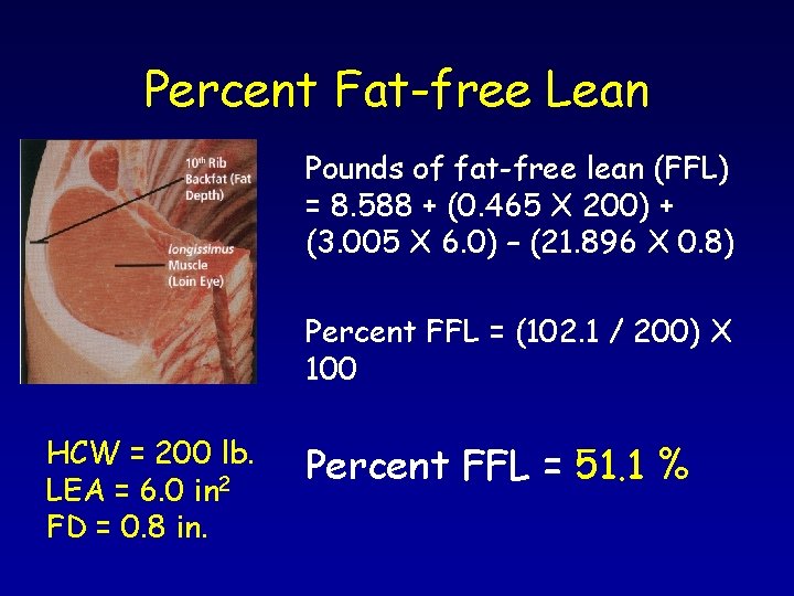 Percent Fat-free Lean Pounds of fat-free lean (FFL) = 8. 588 + (0. 465