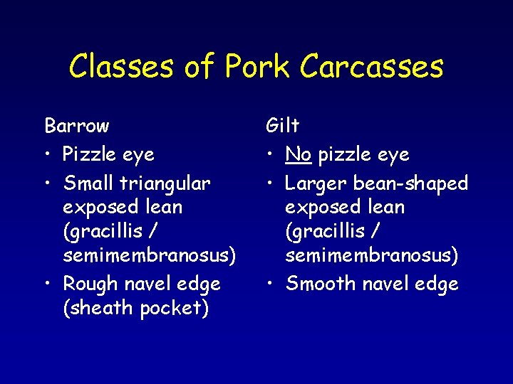 Classes of Pork Carcasses Barrow • Pizzle eye • Small triangular exposed lean (gracillis