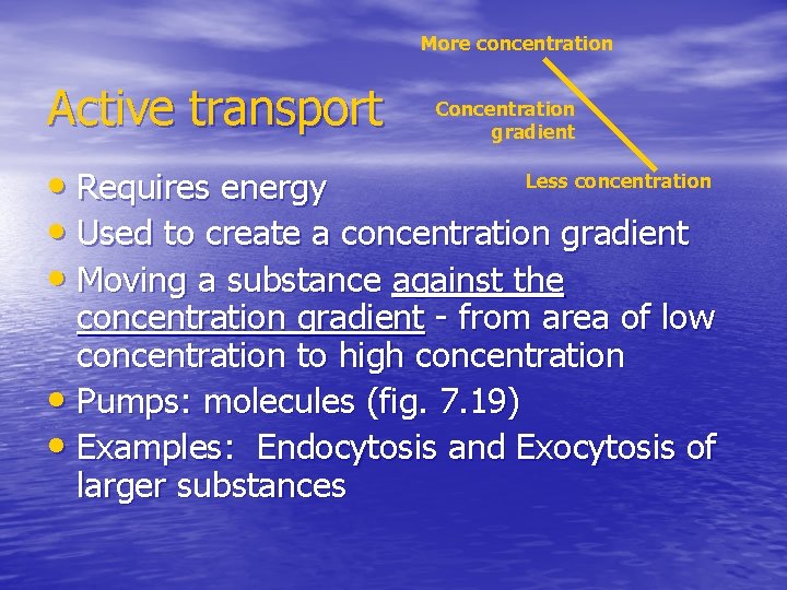 More concentration Active transport Concentration gradient Less concentration • Requires energy • Used to