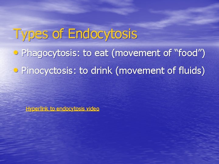 Types of Endocytosis • Phagocytosis: to eat (movement of “food”) • Pinocyctosis: to drink