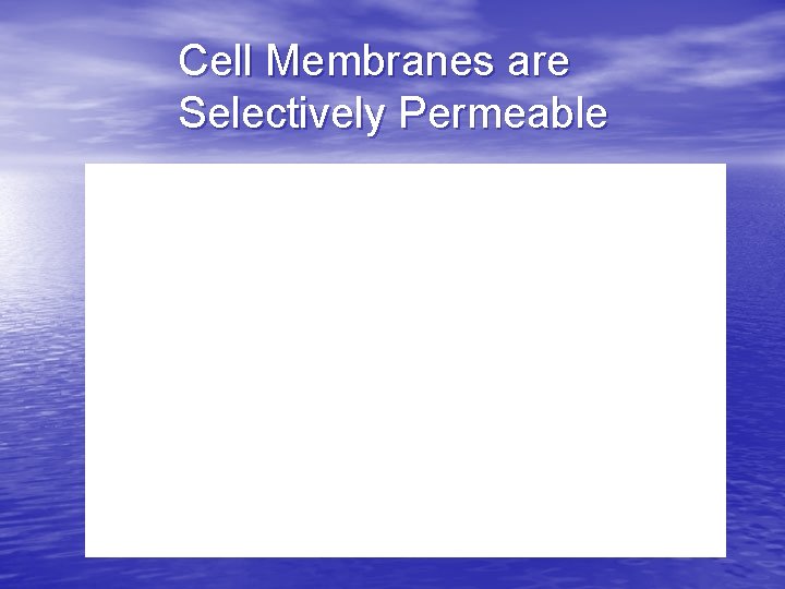 Cell Membranes are Selectively Permeable 
