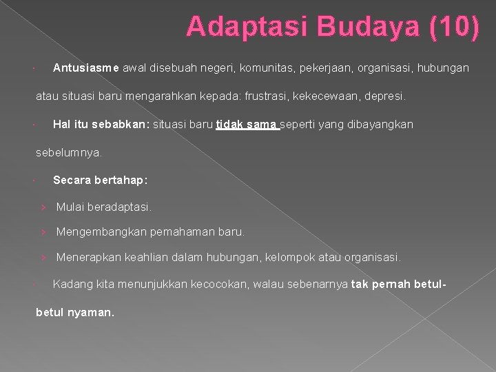 Adaptasi Budaya (10) Antusiasme awal disebuah negeri, komunitas, pekerjaan, organisasi, hubungan atau situasi baru