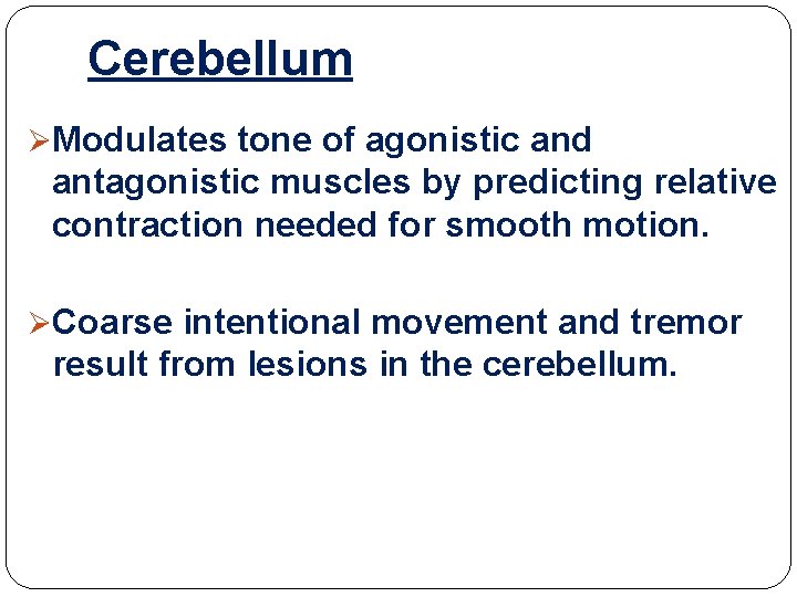 Cerebellum ØModulates tone of agonistic and antagonistic muscles by predicting relative contraction needed for Cerebellum ØModulates tone of agonistic and antagonistic muscles by predicting relative contraction needed for