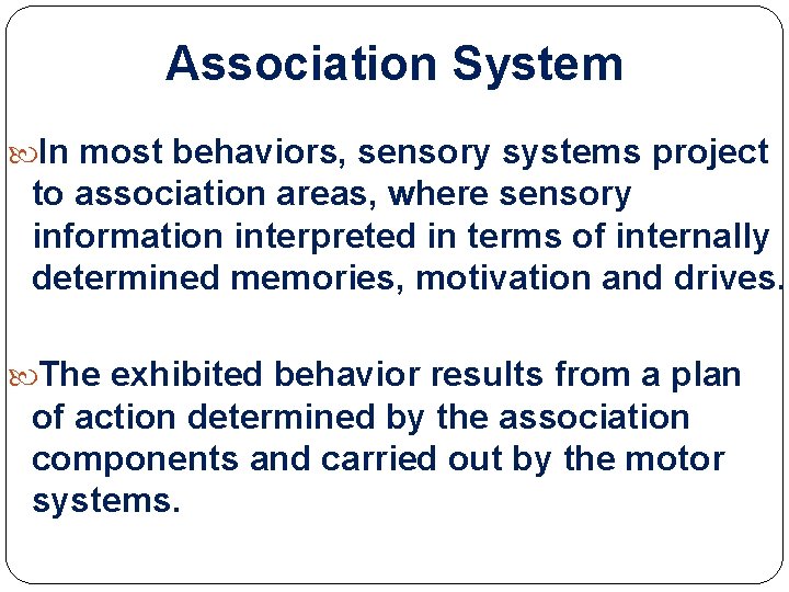 Association System In most behaviors, sensory systems project to association areas, where sensory information Association System In most behaviors, sensory systems project to association areas, where sensory information
