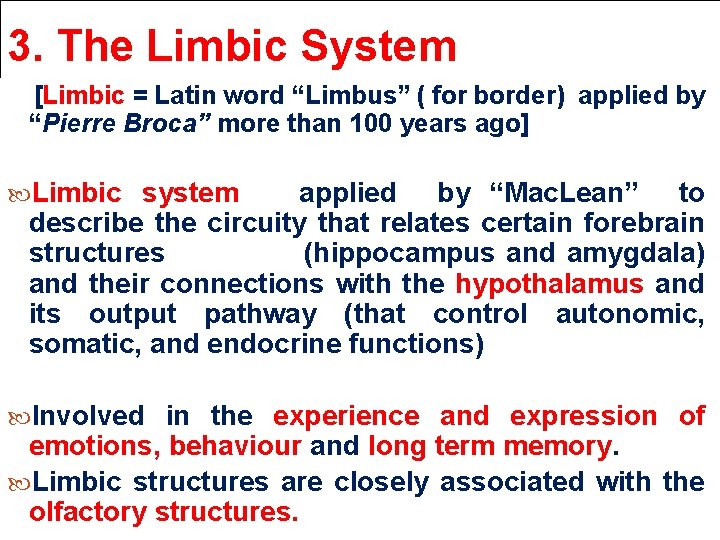 3. The Limbic System [Limbic = Latin word “Limbus” ( for border) applied by 3. The Limbic System [Limbic = Latin word “Limbus” ( for border) applied by