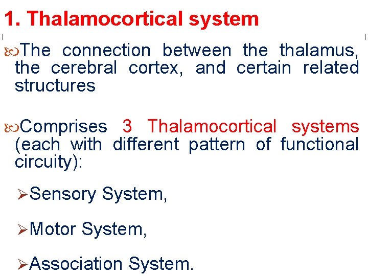 1. Thalamocortical system The connection between the thalamus, the cerebral cortex, and certain related 1. Thalamocortical system The connection between the thalamus, the cerebral cortex, and certain related