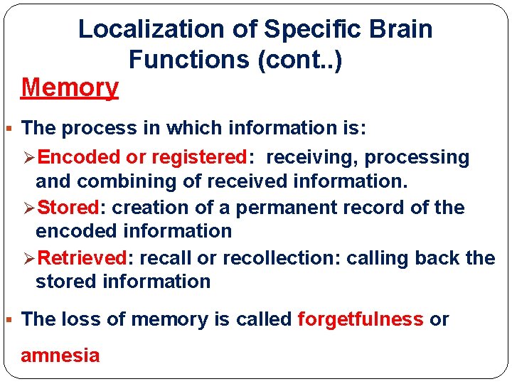 Localization of Specific Brain Functions (cont. . ) Memory § The process in which Localization of Specific Brain Functions (cont. . ) Memory § The process in which