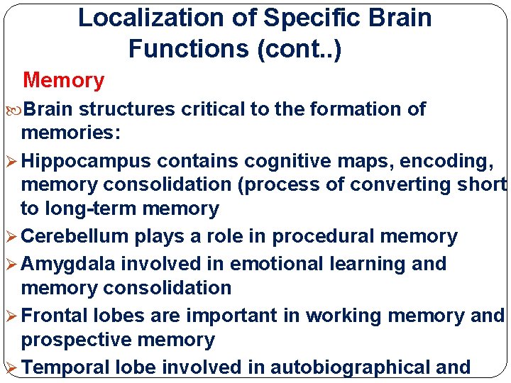 Localization of Specific Brain Functions (cont. . ) Memory Brain structures critical to the Localization of Specific Brain Functions (cont. . ) Memory Brain structures critical to the