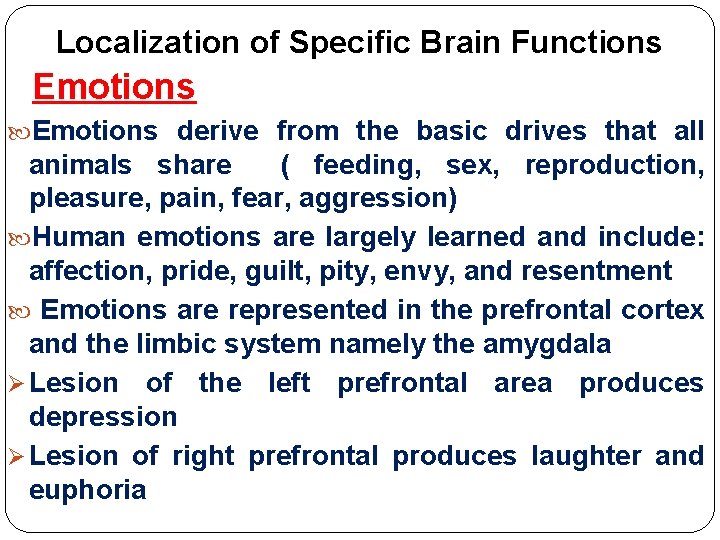 Localization of Specific Brain Functions Emotions derive from the basic drives that all animals Localization of Specific Brain Functions Emotions derive from the basic drives that all animals