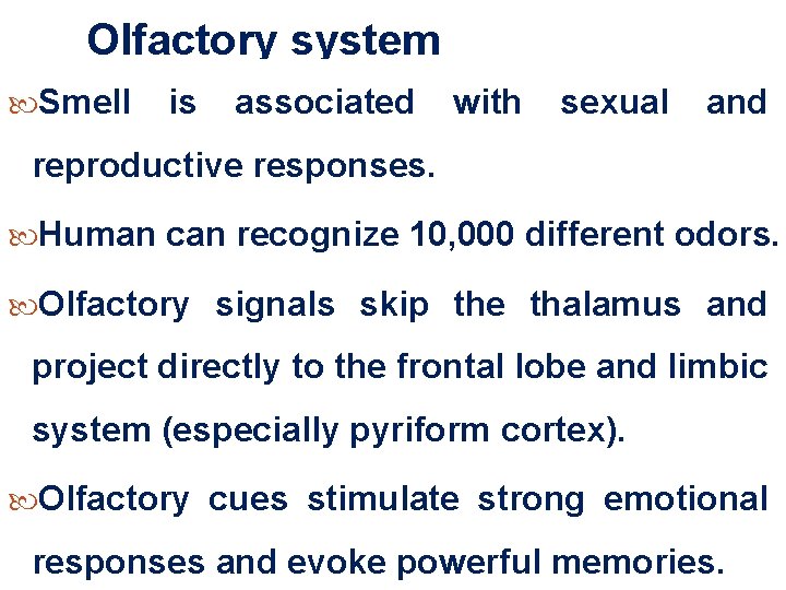 Olfactory system Smell is associated with sexual and reproductive responses. Human can recognize 10, Olfactory system Smell is associated with sexual and reproductive responses. Human can recognize 10,