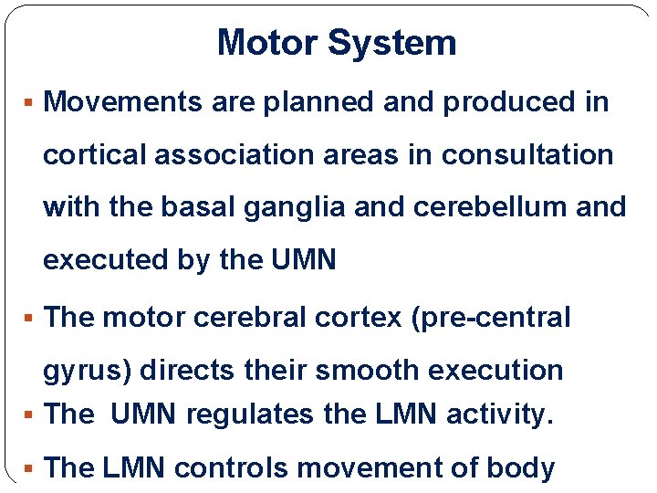 Motor System § Movements are planned and produced in cortical association areas in consultation Motor System § Movements are planned and produced in cortical association areas in consultation