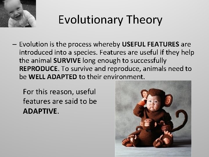 Evolutionary Theory – Evolution is the process whereby USEFUL FEATURES are introduced into a