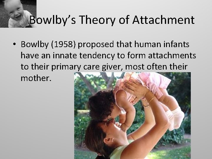 Bowlby’s Theory of Attachment • Bowlby (1958) proposed that human infants have an innate