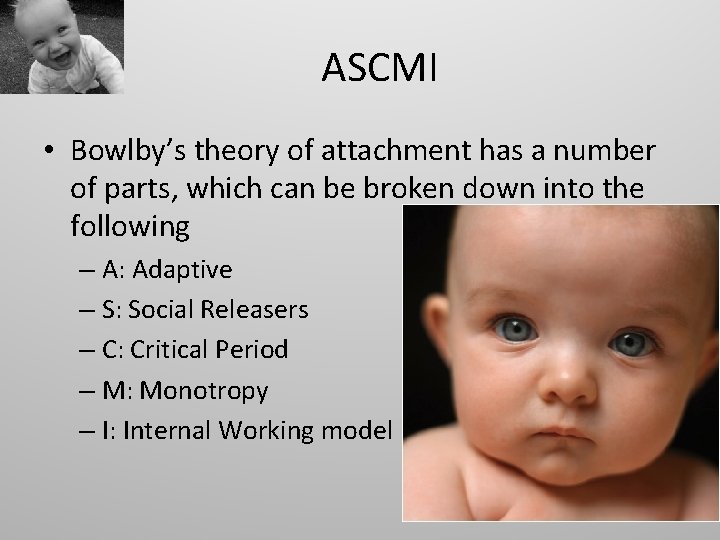 ASCMI • Bowlby’s theory of attachment has a number of parts, which can be