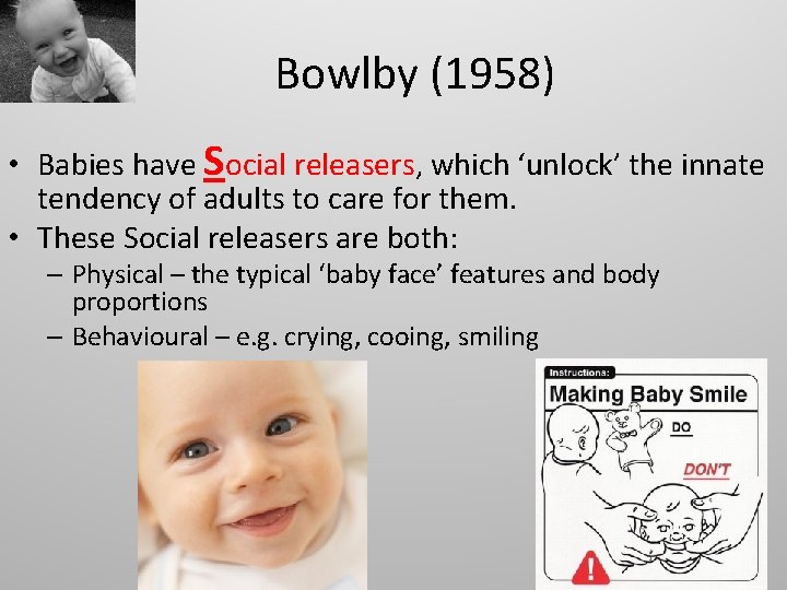 Bowlby (1958) • Babies have Social releasers, which ‘unlock’ the innate tendency of adults