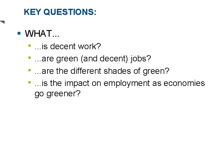 KEY QUESTIONS: § WHAT. . . • • . . . is decent work?