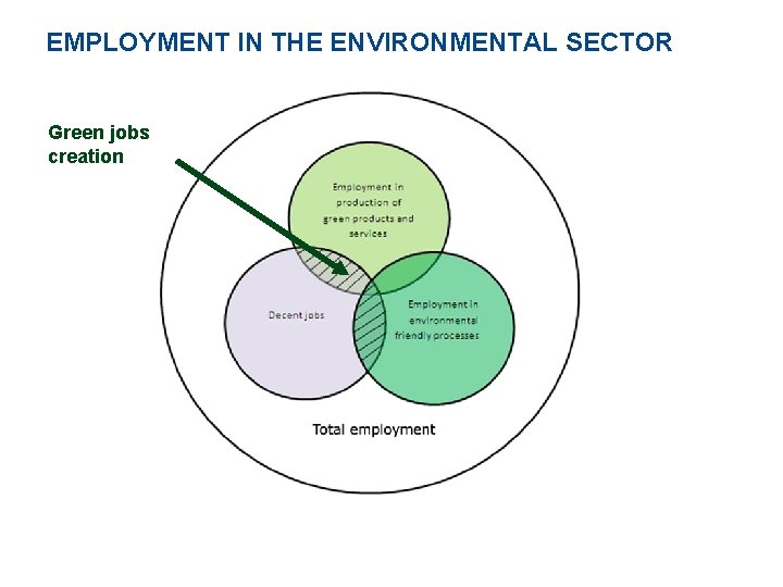 EMPLOYMENT IN THE ENVIRONMENTAL SECTOR Green jobs creation 