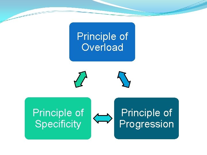Principle of Overload Principle of Specificity Principle of Progression 