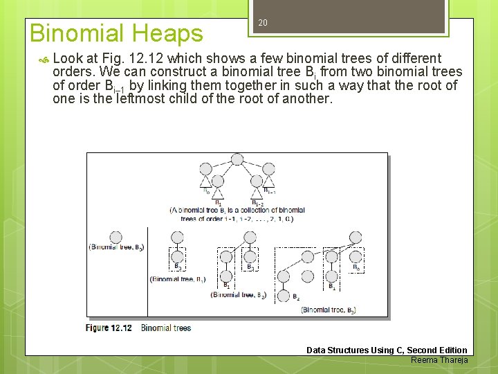 Binomial Heaps 20 Look at Fig. 12 which shows a few binomial trees of