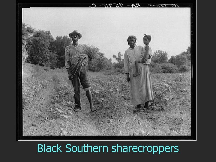 Black Southern sharecroppers 