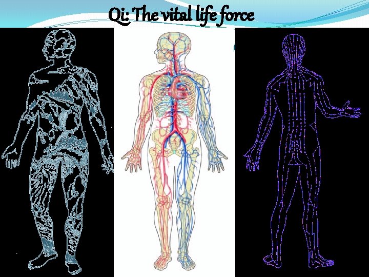 Qi: The vital life force The vital energy force 