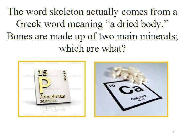 The word skeleton actually comes from a Greek word meaning “a dried body. ”
