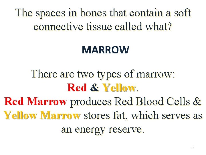 The spaces in bones that contain a soft connective tissue called what? MARROW There