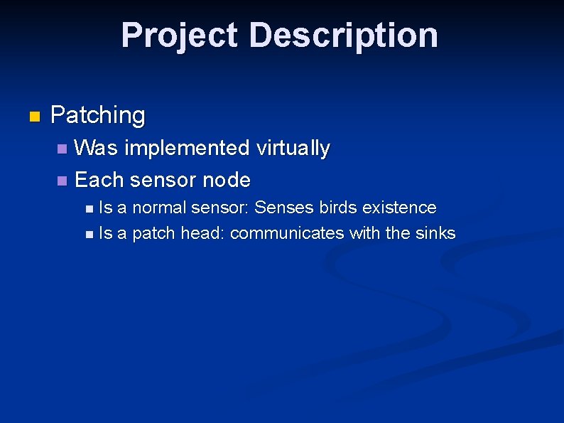 Project Description n Patching Was implemented virtually n Each sensor node n Is a