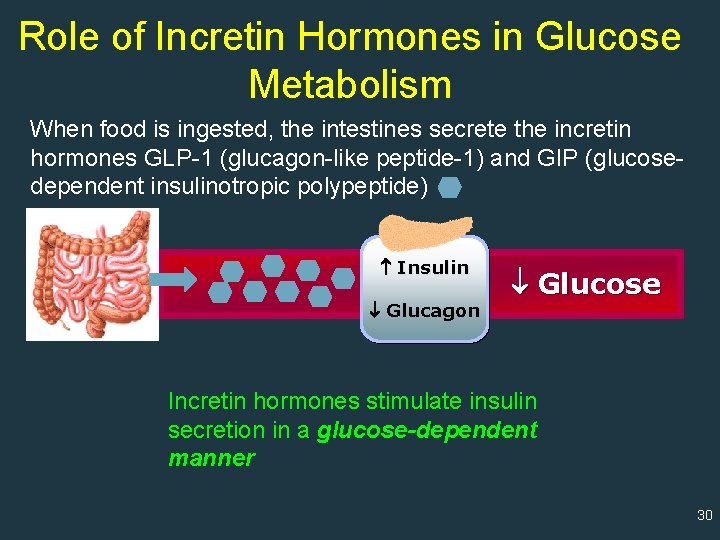 Role of Incretin Hormones in Glucose Metabolism When food is ingested, the intestines secrete