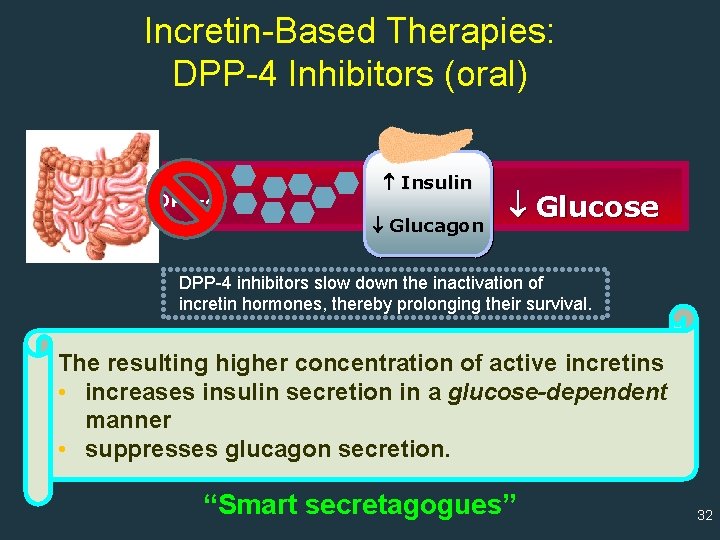 Incretin-Based Therapies: DPP-4 Inhibitors (oral) DPP-4 Insulin Glucagon Glucose DPP-4 inhibitors slow down the